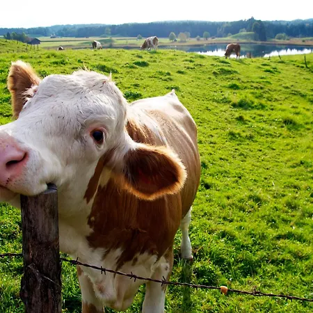 Apartmán Santillana - Mijares 3000