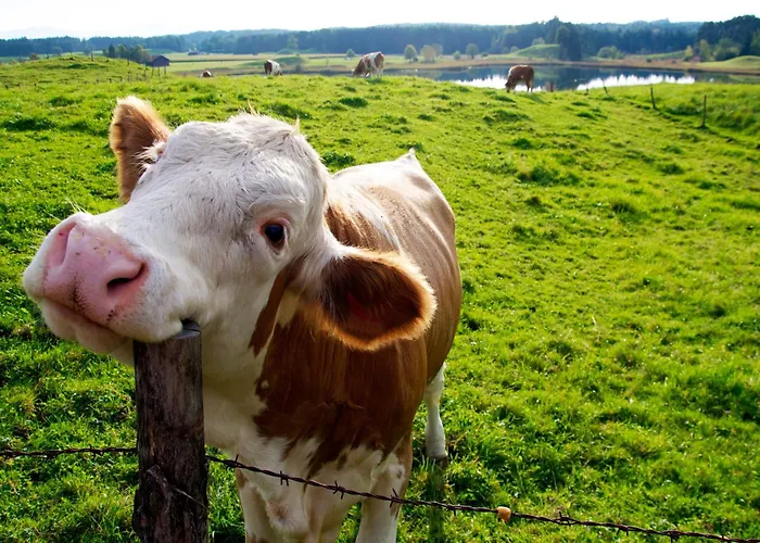 Apartment Santillana - Mijares 3000